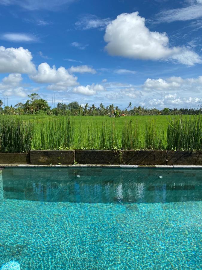 Casa Avana Ubud Buitenkant foto