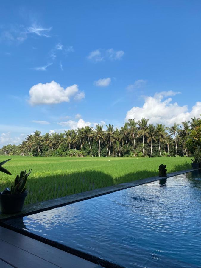 Casa Avana Ubud Buitenkant foto