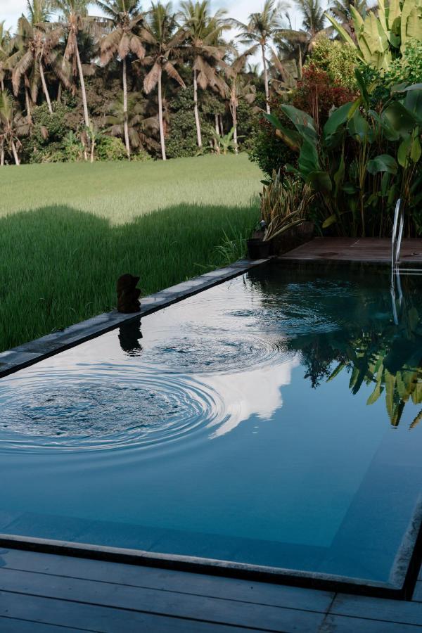 Casa Avana Ubud Buitenkant foto