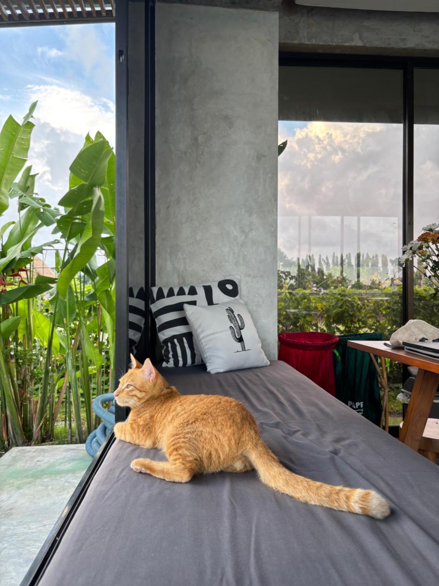 Casa Avana Ubud Buitenkant foto